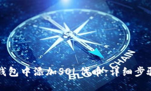如何在麦子钱包中添加SOL代币:详细步骤与实用指南