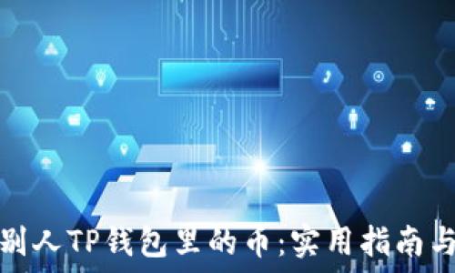 如何查看别人TP钱包里的币:实用指南与隐私保护