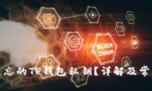 如何找回遗忘的TP钱包私钥?详解及常见解决方案