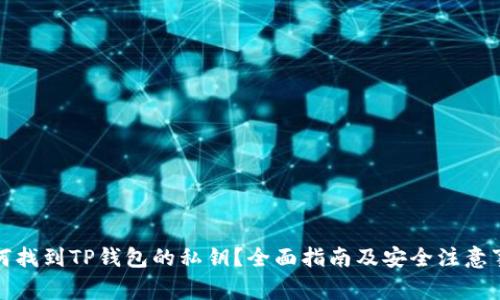 如何找到TP钱包的私钥?全面指南及安全注意事项
