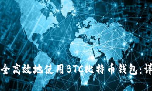 如何安全高效地使用BTC比特币钱包:详尽指南