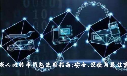 挪威人比特币钱包使用指南:安全、便捷与最佳实践