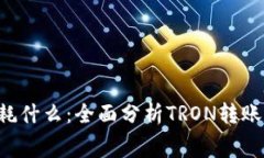 TRX钱包转币消耗什么：全面分析TRON转