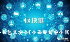屎币存入哪个钱包里安全？全面解析安