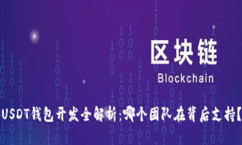 USDT钱包开发全解析:哪个团队在背后支持?