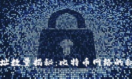 比特币钱包地址数量揭秘:比特币网络的秘密与无限可能