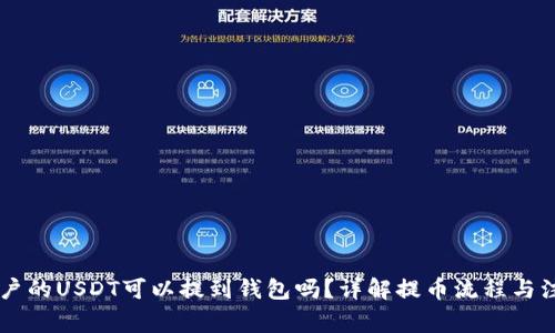 币币账户的USDT可以提到钱包吗?详解提币流程与注意事项