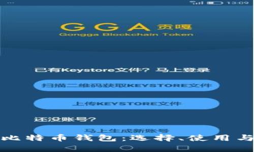 全面解析比特币钱包:选择、使用与安全防护
