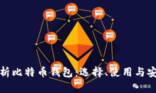 全面解析比特币钱包:选择、使用与安全防护