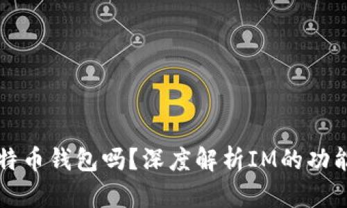 : IM是比特币钱包吗？深度解析IM的功能与安全性