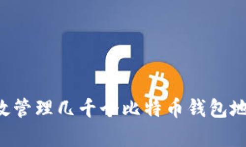 如何安全有效管理几千个比特币钱包地址:全面指南