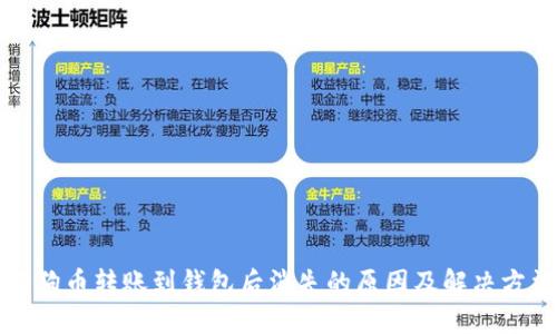 狗狗币转账到钱包后消失的原因及解决方法