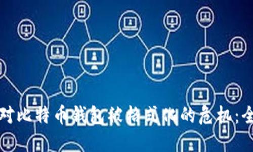 如何应对比特币钱包被格式化的危机:全面指南