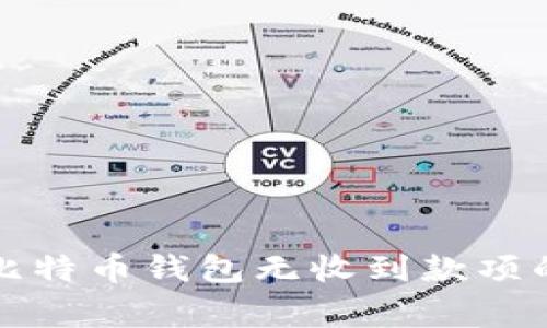 如何解决比特币钱包无收到款项的常见问题