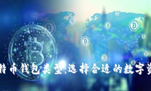 全面解析比特币钱包类型:选择合适的数字资产存储方式