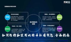 如何选择和使用比特币私有钱包：全面