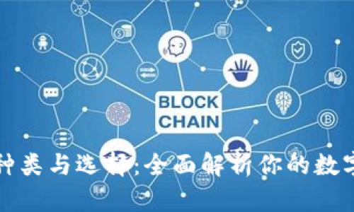 比特币钱包的种类与选择:全面解析你的数字货币管理工具
