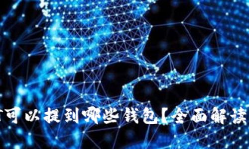 火币网的USDT可以提到哪些钱包?全面解读USDT钱包选择