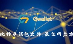 如何安全存储比特币钱包文件：最佳网