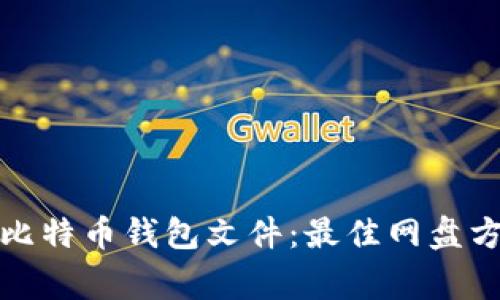 如何安全存储比特币钱包文件:最佳网盘方案与注意事项