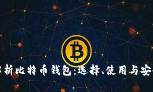 全面解析比特币钱包:选择、使用与安全策略