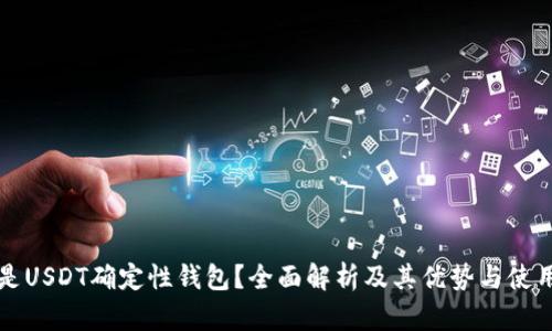 什么是USDT确定性钱包?全面解析及其优势与使用指南