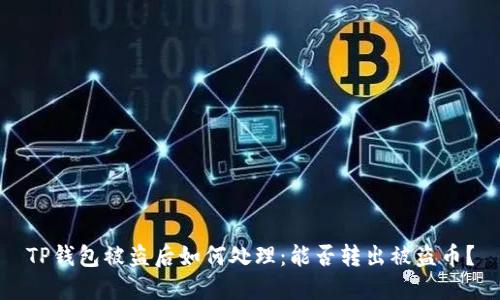 TP钱包被盗后如何处理:能否转出被盗币?