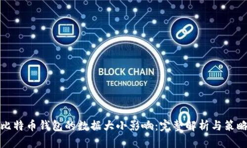 比特币钱包的数据大小影响:完整解析与策略