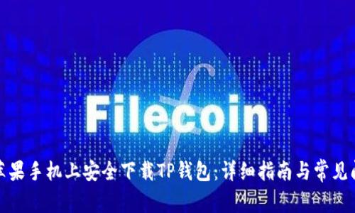 如何在苹果手机上安全下载TP钱包:详细指南与常见问题解答