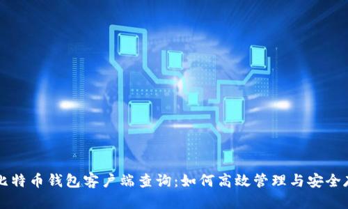 全面解析比特币钱包客户端查询:如何高效管理与安全存储比特币