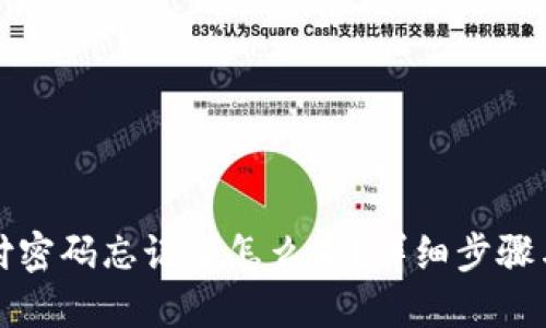 TP钱包支付密码忘记了怎么办?详细步骤与解决方案