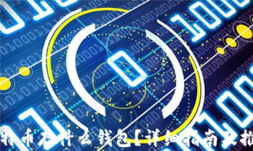 比特币存什么钱包?详细指南及推荐