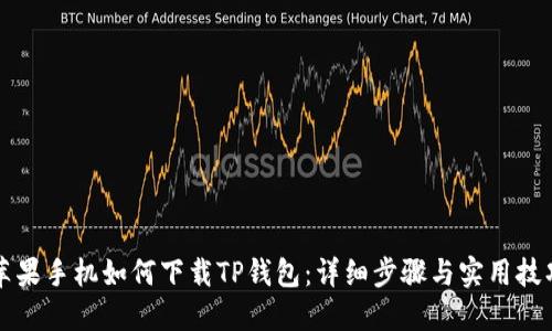 苹果手机如何下载TP钱包：详细步骤与实用技巧
