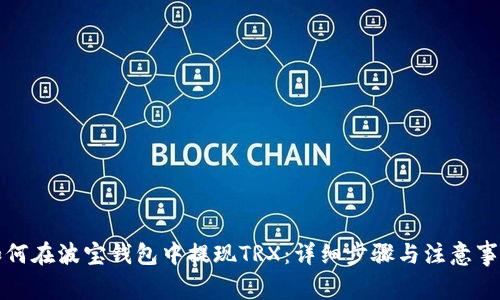 如何在波宝钱包中提现TRX:详细步骤与注意事项