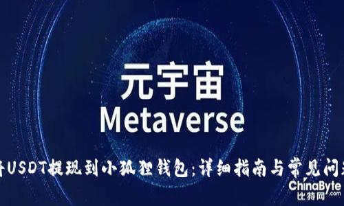 如何将USDT提现到小狐狸钱包:详细指南与常见问题解答