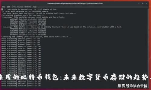 李笑来用的比特币钱包:未来数字货币存储的趋势与发展