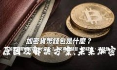 TP钱包不显示币的原因及解决方案，未