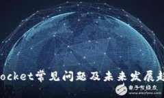 TokenPocket常见问题及未来发展趋势分析