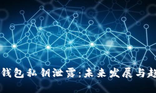 以太坊钱包私钥泄露:未来发展与趋势解析