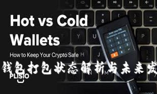 以太坊钱包打包状态解析与未来发展趋势