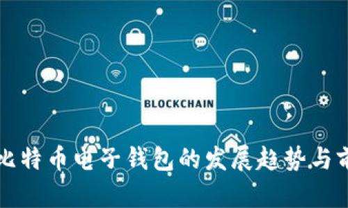 未来巴比特币电子钱包的发展趋势与前景探讨