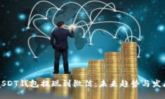 USDT钱包提现到微信：未来趋势与发展