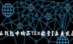 如何在比特派钱包中购买TRX能量？未来