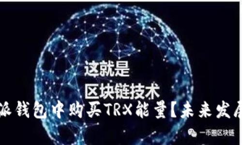 如何在比特派钱包中购买TRX能量?未来发展与趋势解析