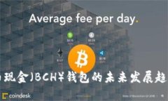 比特币现金（BCH）钱包的未来发展趋势