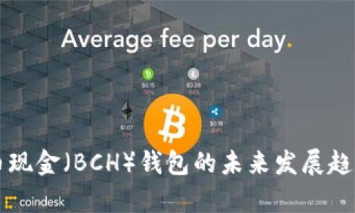 比特币现金(BCH)钱包的未来发展趋势分析