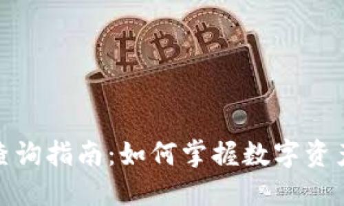 TP钱包盈亏查询指南：如何掌握数字资产的未来趋势