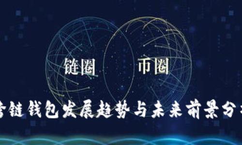 跨链钱包发展趋势与未来前景分析
