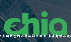 以太坊钱包打不开的解决方案：未来趋