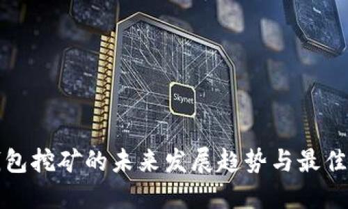 TP钱包挖矿的未来发展趋势与最佳实践